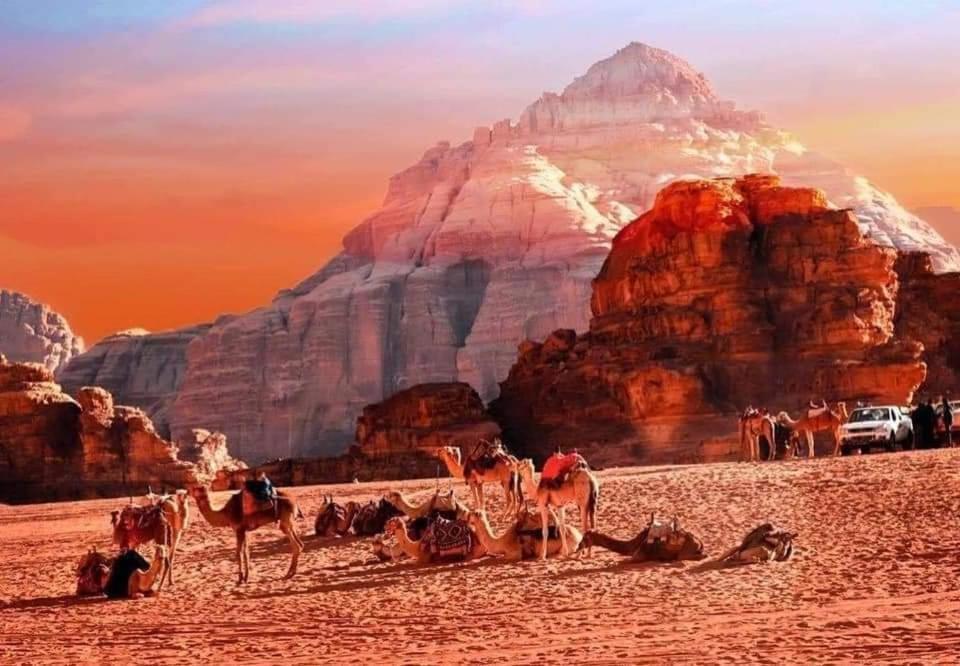 Rum Bedouin Trips Otel Ram Vadisi Dış mekan fotoğraf