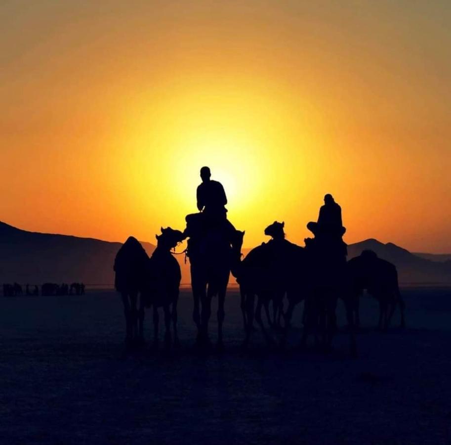 Rum Bedouin Trips Otel Ram Vadisi Dış mekan fotoğraf